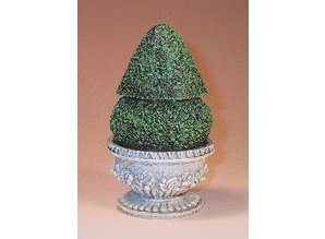 Euromini's EM4927 Buxus in pot