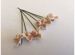 Euromini's EM4778 Bloemen per 6