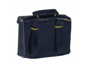 Euromini's Tas, leer