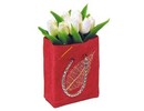 Euromini's Tas met witte tulpen
