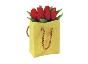 Euromini's Tas met rode tulpen