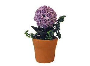 Euromini's Rozen in terracotta pot