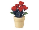 Euromini's Rode rozen in keramiek pot