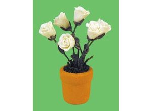 Euromini's Witte rozen in pot