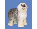 Euromini's Gold English Sheepdog