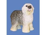 Euromini's Gold English Sheepdog