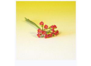 Euromini's EM5306 Bloemen Rood