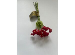 Euromini's EM5325 Bloemen rood